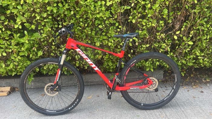 Giant fathom push bike