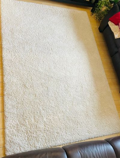 Move Sale Cream Rug 160x230cm JVC Smart TV & TV Bench
