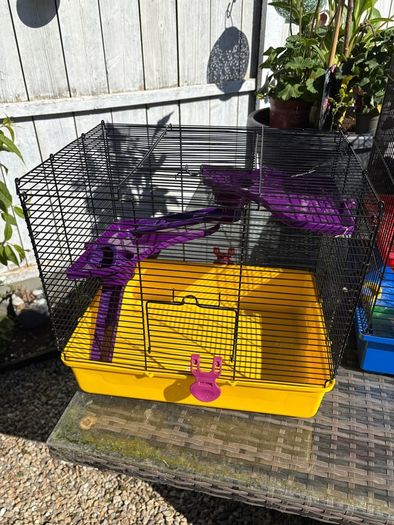 Hamster cage