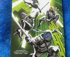 Teenage mutant ninja turtles