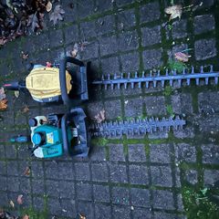 Hedge Trimmers x 2