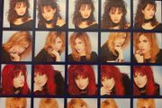 The Bangles Following Dover Beach