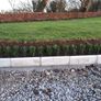 Box Hedging Image 7
