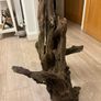 2xl Pre soaked Driftwood approximately about 20-25kg Image 3