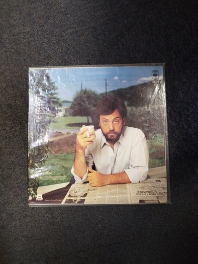 Billy Joel the Nylon curtain lp