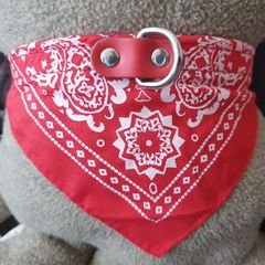 Beautiful Dog Collar