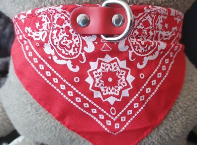 Beautiful Dog Collar