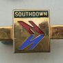 National Bus Company, Southdown - bus driver's tie-clip enamelled badge (1970s / 1980s) Image 2