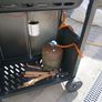 Gas Bbq Image 5