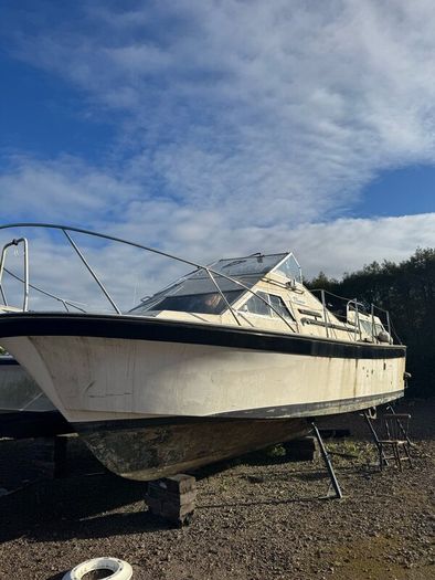 Project Cruisers End of Season sell off.