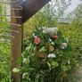 hanging Basket Image 3