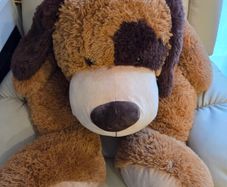 Giant Plush Floppy Dog
