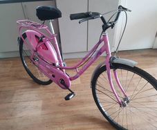 ladies bike