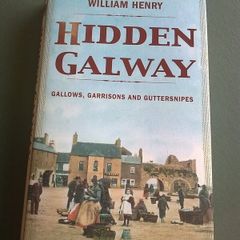Hidden Galway Gallows Garrisons and Guttersnipes Local history