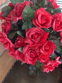 Rose trees