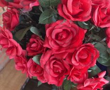Rose trees