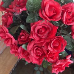 4 Rose  trees
