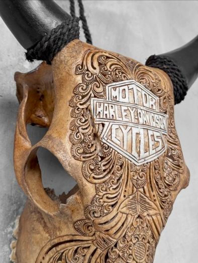 Harley skull