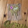 'Donut grow up' party decorations Image 2