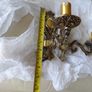Brass Lacquered Wall Lights Image 3