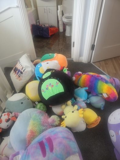 squishmallow teddies