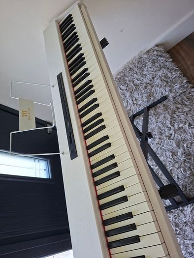 Piano/Keyboard