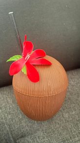 Plastic coconut-shaped container for drink