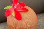 Plastic coconut-shaped container for drink