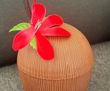 Plastic coconut-shaped container for drink