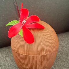 Plastic coconut-shaped container for drink