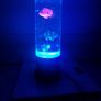 Sensory light with 7 different types of colours Image 2
