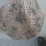 2 New Plastic place mats Image 2