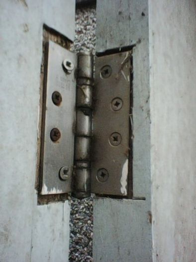 Fire Door