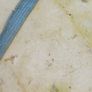 granite Image 6