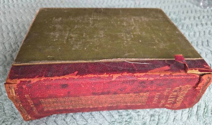 Antique Book - Maynooth College, Its Centenary History 1895