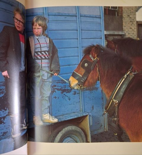 The World of The Irish Horse / 1992