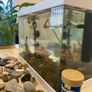 Fish tank with fish Image 3