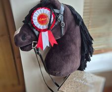 LeMieux Valegro Hobby Horse