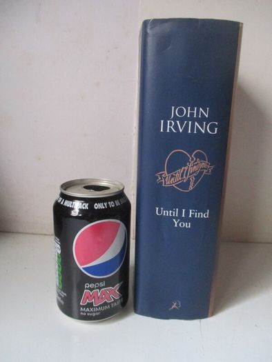 John Irving - Until I Find You