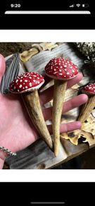 Irish Deer Antler and Amanita Muscaria Mushroom Plant Decoration