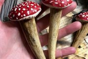 Irish Deer Antler and Amanita Muscaria Mushroom Plant Decoration