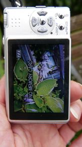 Panasonic Lumix DMC-FX9 6.0MP Digital Camera From Japan Tested