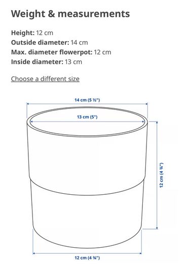 plant pot