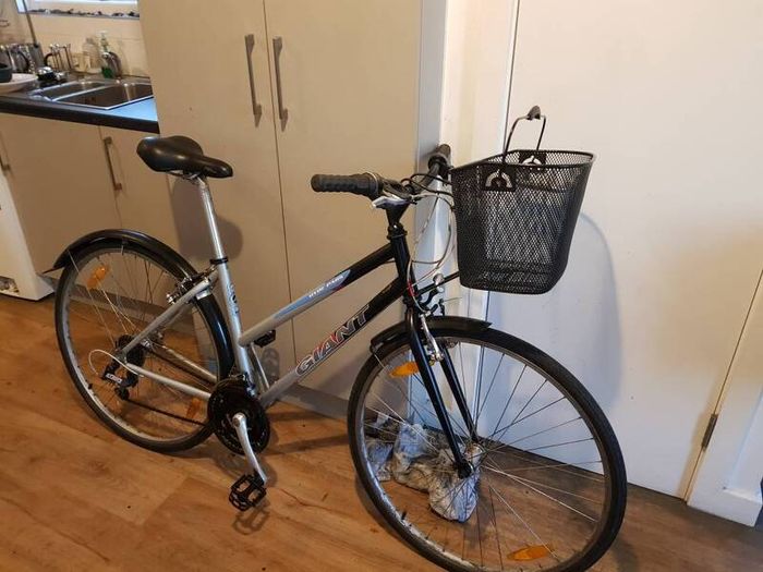 giant ladies bike( can deliver)
