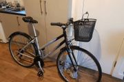 giant ladies bike( can deliver)