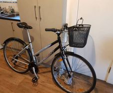 giant ladies bike( can deliver)
