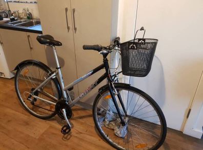 giant ladies bike( can deliver)