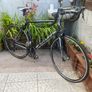 Futura monza 22 inch frame 700x25c wheels 16 speed double breaks Image 2