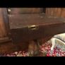 Antique regency table Image 6