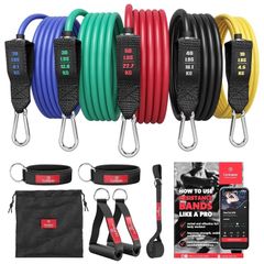 Resistance Bands Set with Handles, Door Anchor, Ankle Straps + Exercise Ebook